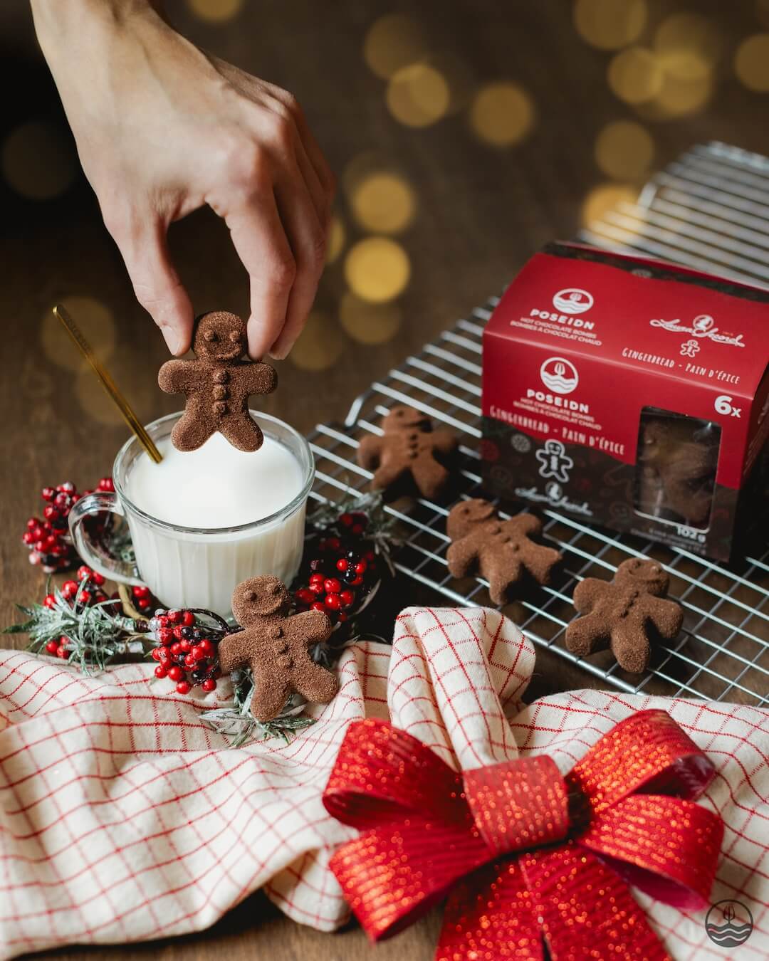 Hot Chocolate (Gingerbread) Drink Bomb