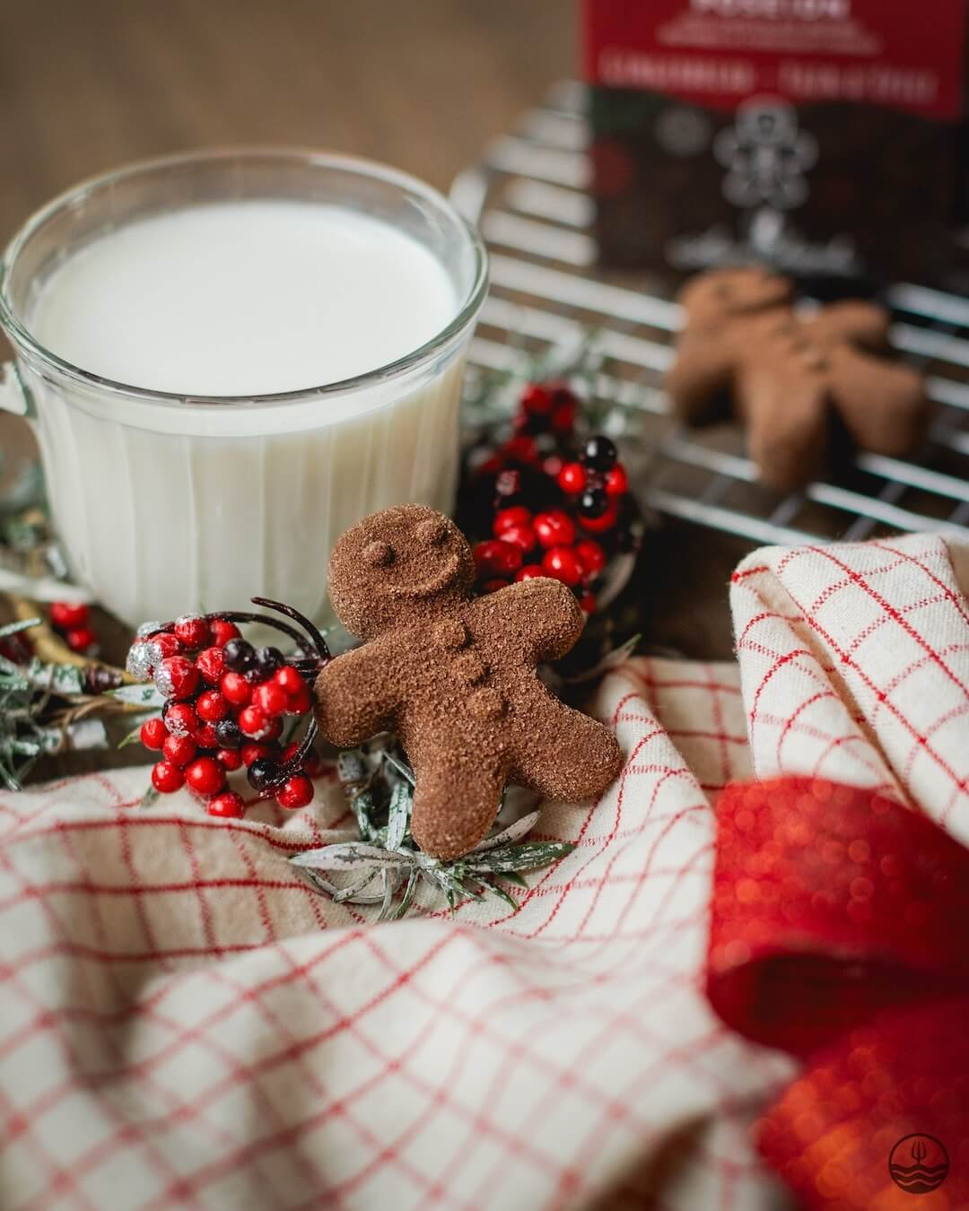 Hot Chocolate (Gingerbread) Drink Bomb