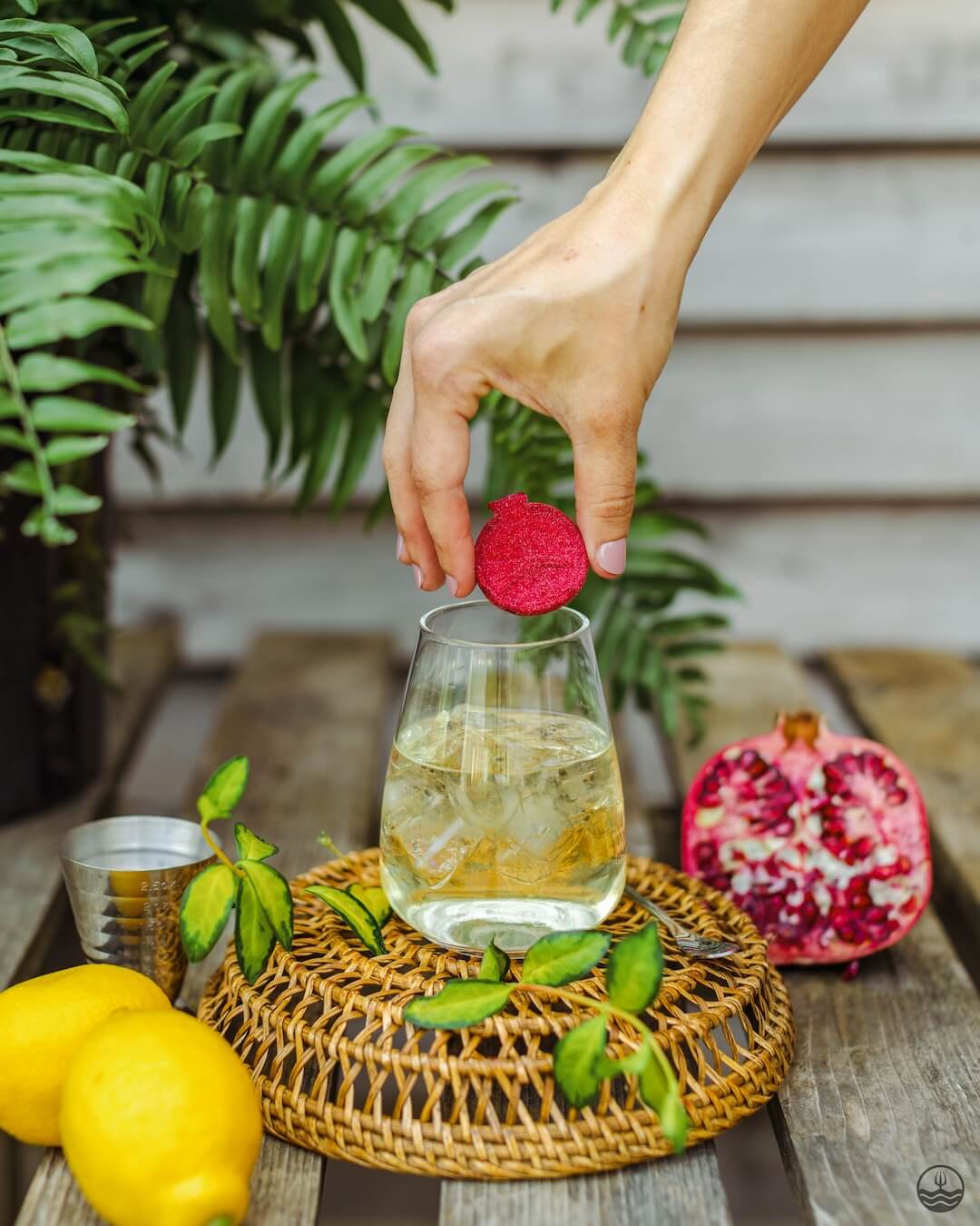 Pomegranate, Hibiscus & Honeyberry Cocktail bomb